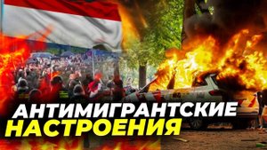 Бунт в Нидерландах: протесты против миграции переросли в хаос 🚨🔥