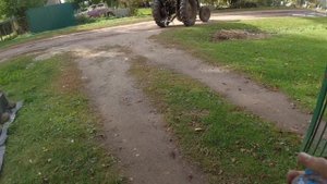 Апажа, яблоки, боярышник, морковь)))