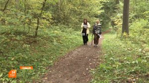 Фестиваль спортивного ориентирования