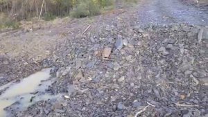 Золотодобытчики загрязнили реку