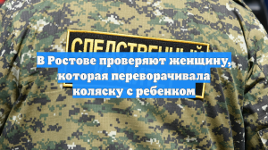 В Ростове проверяют женщину, которая переворачивала коляску с ребенком