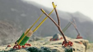 В Этом Мире Муравьи Сражаются за Сахар, и Создают Супероружие из Зубочисток