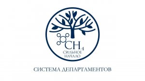Система школьных департаментов «Газпром школы Санкт-Петербург»