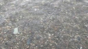 Отдых на Чёрном море в Кабардинке. 2025 год. Вода прозрачная, прохладная, мокрая, удивительная. Утро