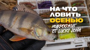 Уловистые Силиконовые Приманки Микроджиг от Lucky John на Окуня в Начале Осени