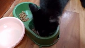 тизер трейлер