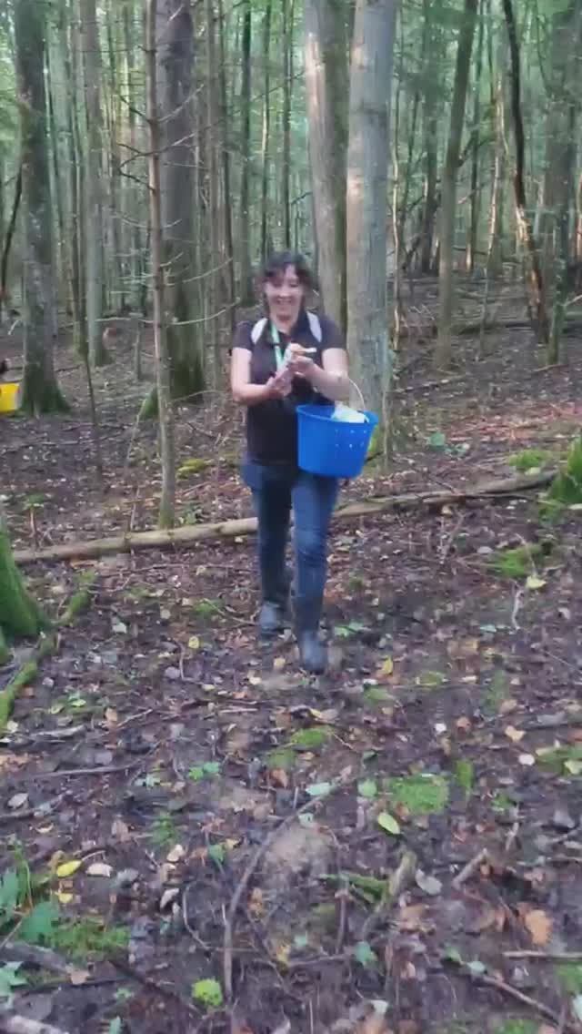 ГРИБЫ ПРУТ, поляны подосиновиков по 20 штук. ГРИБНИКИ В ШОКЕ смотреть онлайн