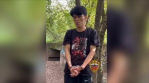 Двоих ксеноморфышей задержали в Москве за ограбление 20-летнего парня в Останкинском парке !!!