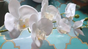 Распаковка Дикси, Озон, Фикс-прайс. Небольшой влог.