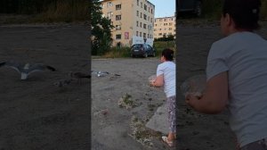 Карелия, Кондопога 21.07.25г.