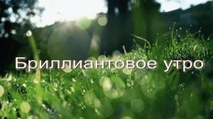 Бриллиантовое утро. Стихи и монтаж - Е.Доставалов, генерация звука в ИИ - И.Латанов