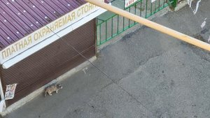 Лазаревское Сочи 22.09.25 Что ПРОИСХОДИТ прямо сейчас🔥 Что СЛУЧИЛОСЬ сегодня сейчас Лазаревское😳