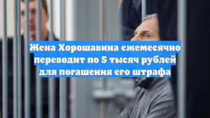 Жена Хорошавина ежемесячно переводит по 5 тысяч рублей для погашения его штрафа