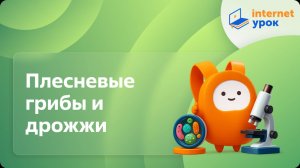 Плесневые грибы и дрожжи. Видеоурок по биологии 5 класс