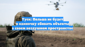 Туск: Польша не будет в одиночку сбивать объекты в своем воздушном пространстве