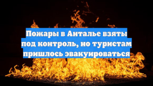 Пожары в Анталье взяты под контроль, но туристам пришлось эвакуироваться