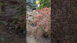 Марина У.Мир на ладони !В гостях у сказки! Парк Лога !