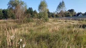 д. Сергово 50:18:0080110:1334