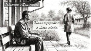 Мельников Евгений - Командировка с того света (читает Юрий Павлов)
