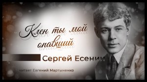 Сергей Есенин — «Клён ты мой опавший» | Читает Евгений Мартыненко