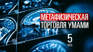 Истории от Змея - Метафизическая работорговля : как гранты и соцсети меняют сознание