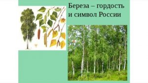 Беседы о России. Лекция 3. Символы России