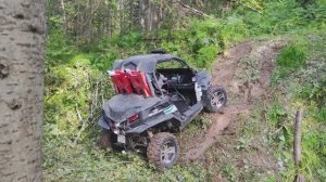 Вот как бывает ) 26.07.2025 Подстрелка