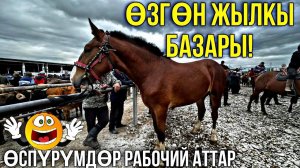 ӨСПҮРҮМДӨР КӨП ТҮШТҮ #байтв