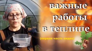 Что делать в теплице после сбора урожая