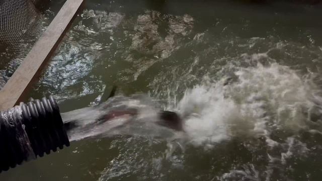 copy_5B5174E7-73B1-4CA9-97BC-99459592F442