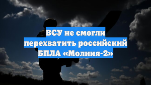 ВСУ не смогли перехватить российский БПЛА «Молния-2»