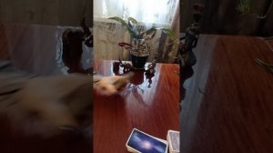 Таро.С кем встреча и что принесёт.