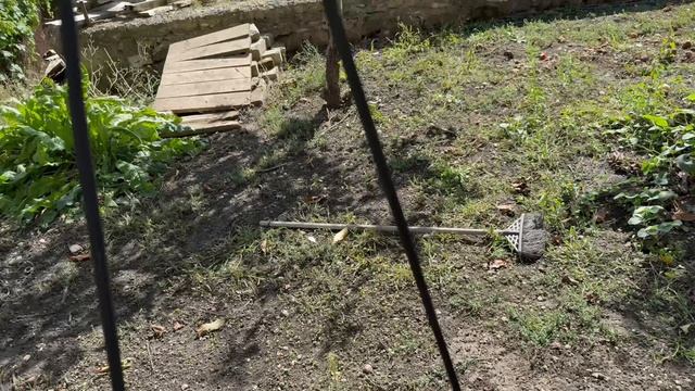 Осень 2025. Солнечный день в Ставрополе.