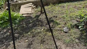 Осень 2025. Солнечный день в Ставрополе.