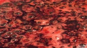 Желе из черной смородины на зиму