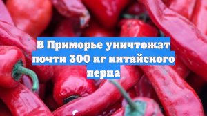 В Приморье уничтожат почти 300 кг китайского перца