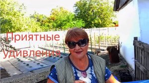 Вести со двора...давно не виделись...Макеевка ДНР .