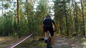 Пульс марафон 2025  10-я пятиминутка