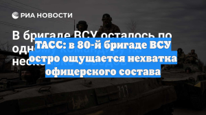ТАСС: в 80-й бригаде ВСУ остро ощущается нехватка офицерского состава