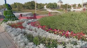 Где бы я ни была, везде любуюсь цветочками на клумбах 😍