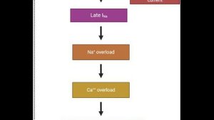Ранолазин - "швейцарский нож" фармакологии (скрытый потенциал за пределами антиангинального)