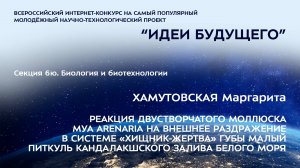 (6Ю-25) ХАМУТОВСКАЯ Маргарита Кирилловна