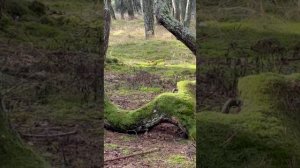 Юлия Агибалова | ТОЧКА.РФ – МЕСТО | г. Калининград