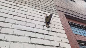 22 сентября 2025. Забрали книжную полку.