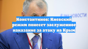 Константинов: Киевский режим понесет заслуженное наказание за атаку на Крым