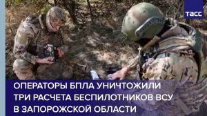 Операторы БПЛА уничтожили три расчета беспилотников ВСУ в Запорожской области