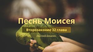 Песнь Моисея | Второзаконие 32 глава |Дмитрий Бусыгин