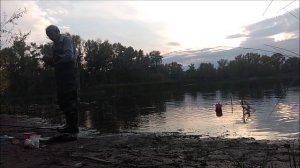 Зорька алая