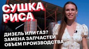 Сушка риса в Краснодарском крае | Отзыв клиента о зерносушилке AGRODRY