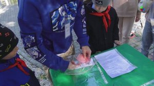 «Самокатом по стране Росатом» прокатились четвероклассники Лесного